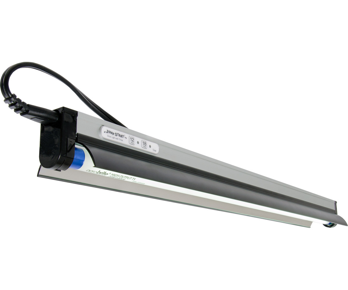 JumpStart T5 Fixture w/Lamp, Reflector, and Timer, 2 ft - Matts