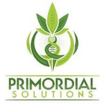 Primordial Solutions