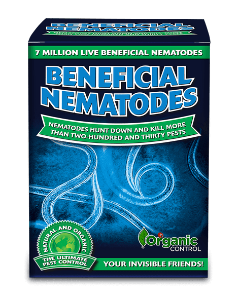 Orcon Beneficial Nematodes (Delivered To Your Door)