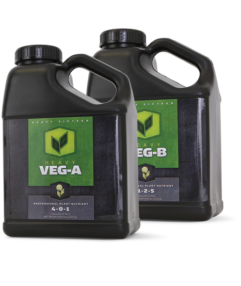Heavy 16 Veg B - 2.5 GAL