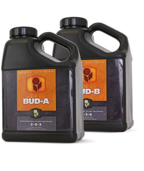 heavy 16 Bud B - 2.5 GAL