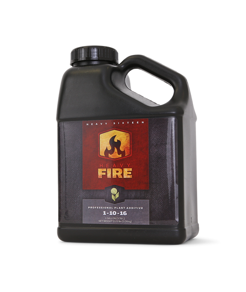 Heavy 16 Fire - 8OZ/250ML