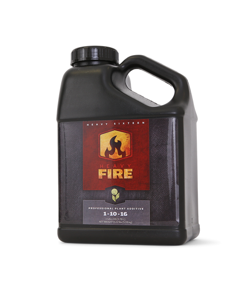 Heavy 16 Fire - 1 QT