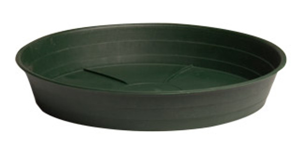 Green Premium Saucer - 12" Green Premium Saucer - 12"