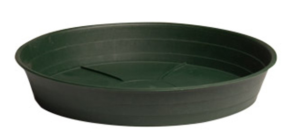 Green Premium Saucer - 12"