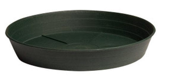 Green Premium Saucer - 8"