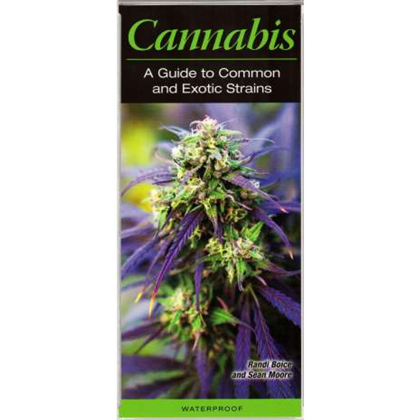 A Guide to Common and Exotic Strains