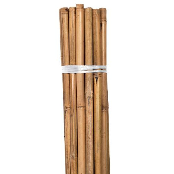 Grower's Edge Natural Bamboo 6 ft - SINGLE