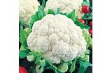 Page's Organic Seeds - Cauliflower (Early Snowball)
