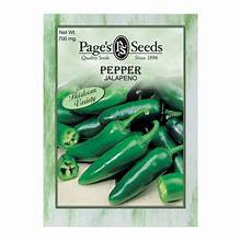 Page's Organic Seeds - Pepper (Jalapeno)