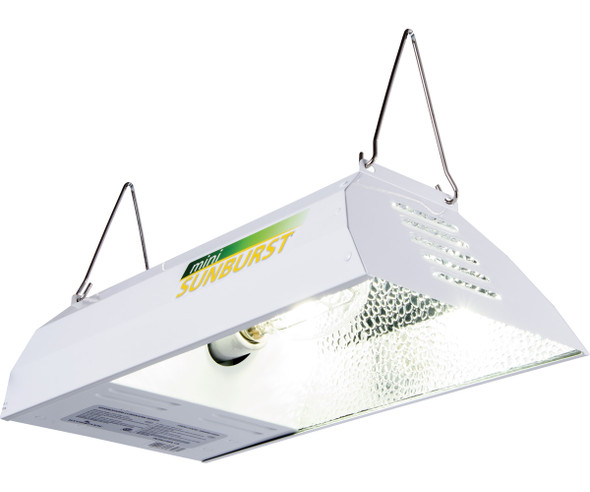 Mini Sunburst MH w/Lamp 100W Mini Sunburst MH w/Lamp 100W