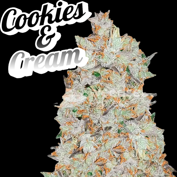 Cookies And Cream Clone EXOTIC Cut