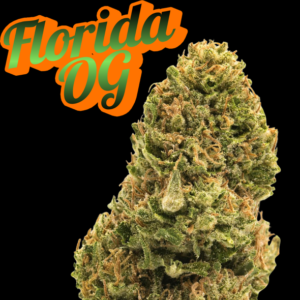 Florida OG Clone Heirloom Cut
