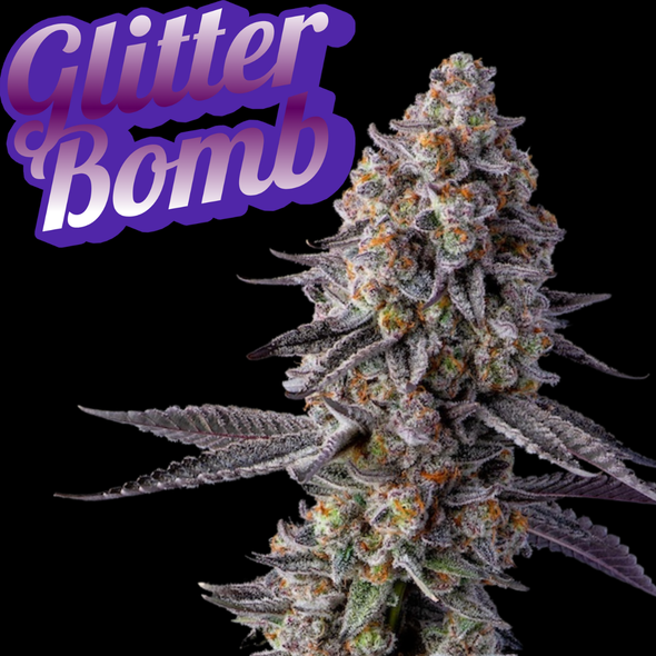 Glitter Bomb Clone Compound Cut