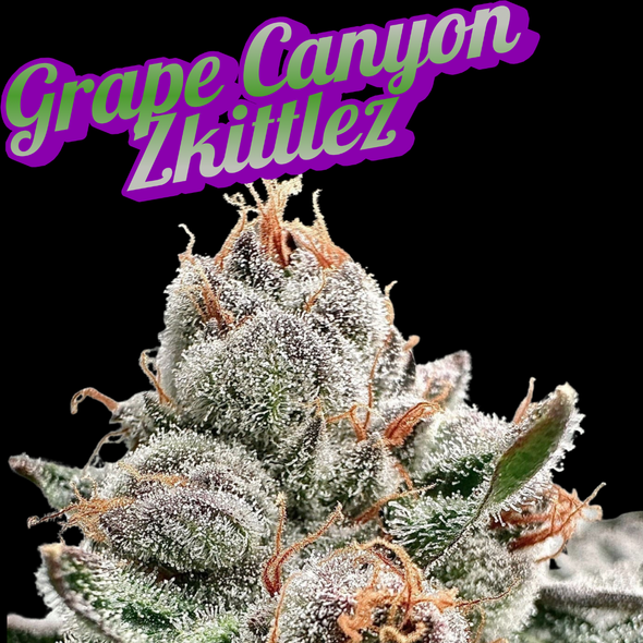 Grape Canyon Zkittles Clone Purple Caper Cut