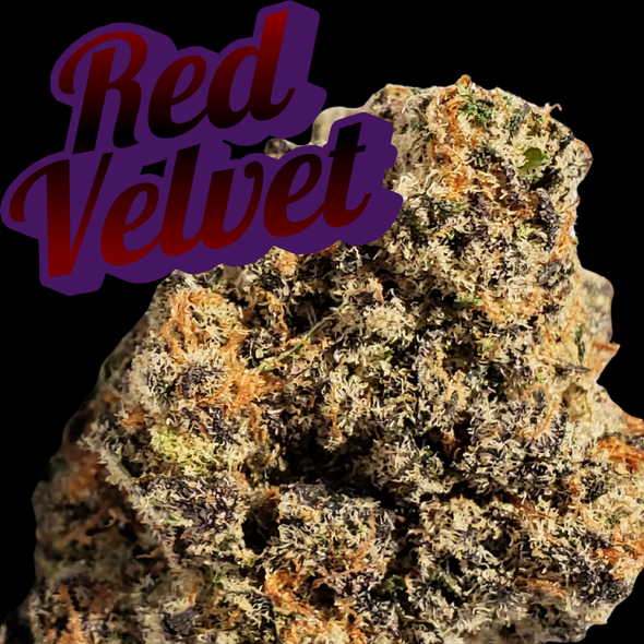 Red Velvet Clone Grandiflora Cut