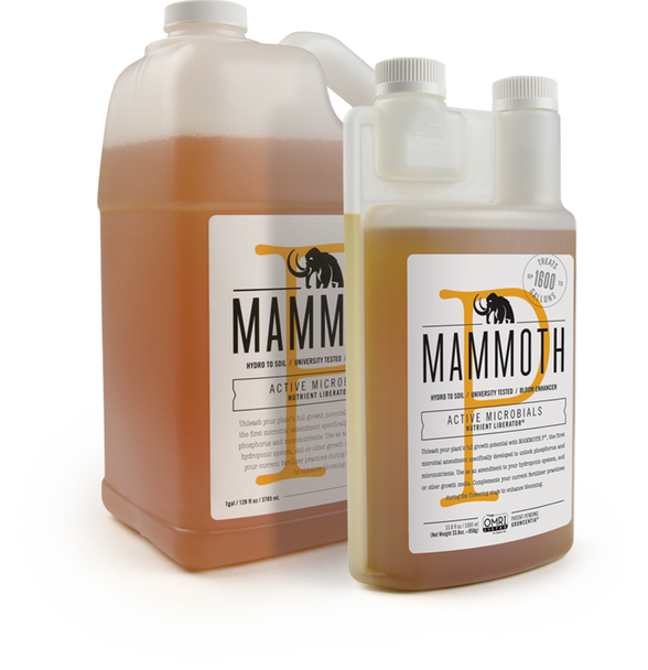 Mammoth P - 500ML