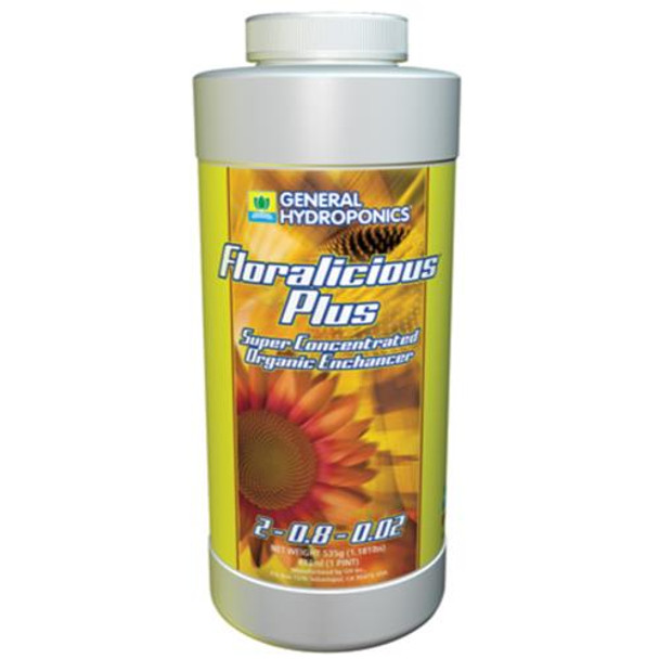 GH Floralicious Plus - 1 PT