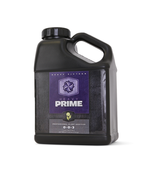 Heavy 16 Prime - 8OZ/250ML