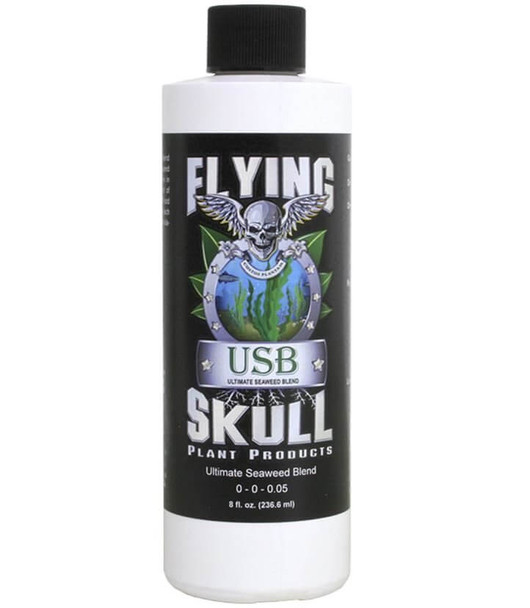 Flying Skull USB - 8OZ