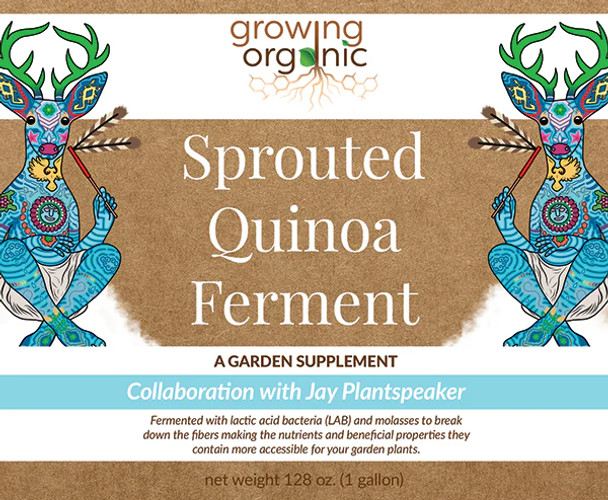 Sprouted Quinoa Ferment