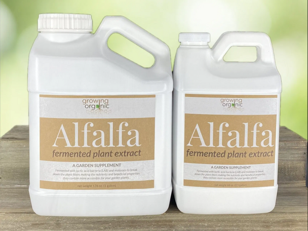 Build a soil Growing Organic ALFALFA Fermented Plant Extract 1 Gallon 