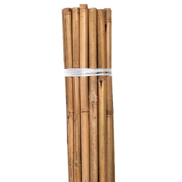 Grower's Edge Natural Bamboo 4 ft - SINGLE