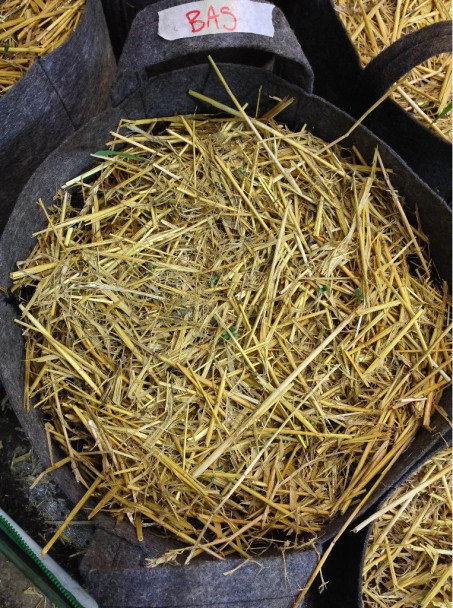 BuildaSoil Barley Straw Mulch - 2gal