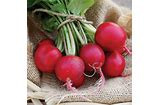Page's Organic Seeds - Radish (Cherry Belle)