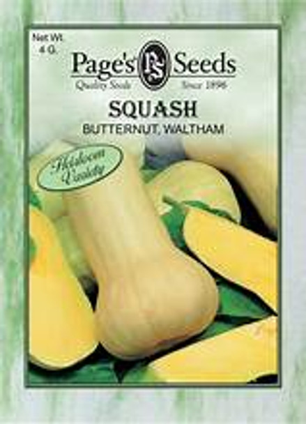 Page's Organic Seeds - Squash (Waltham Butternut)