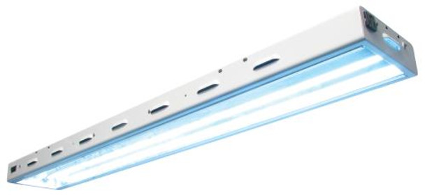 Sun Blaze T5 HO 42 - 4 ft 2 Lamp