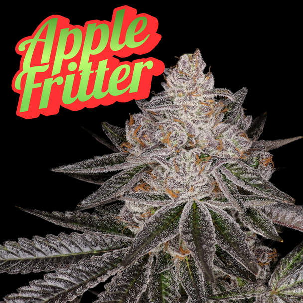 Apple Fritter Clone Lumpy’s Cut