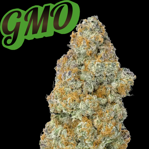GMO Clone Skunk Master Cut