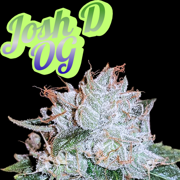 Josh D. OG Clone Karma Cut