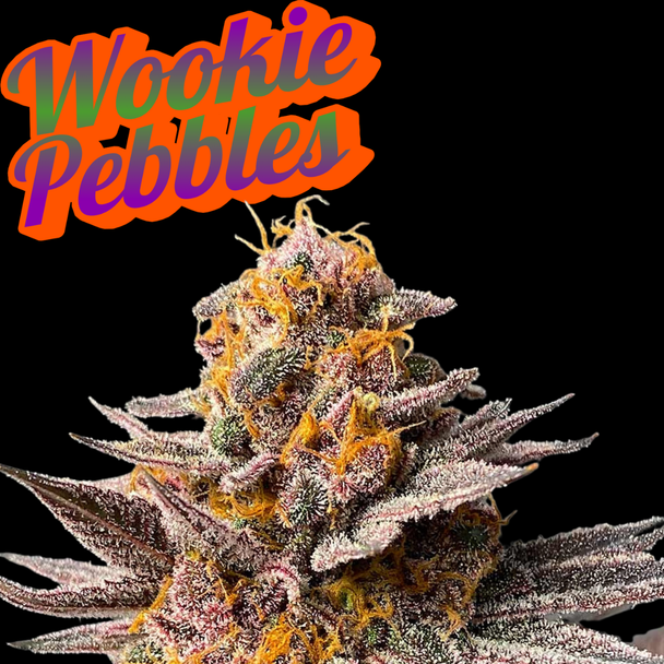 Wookie Pebbles Clone Heirloom Cut