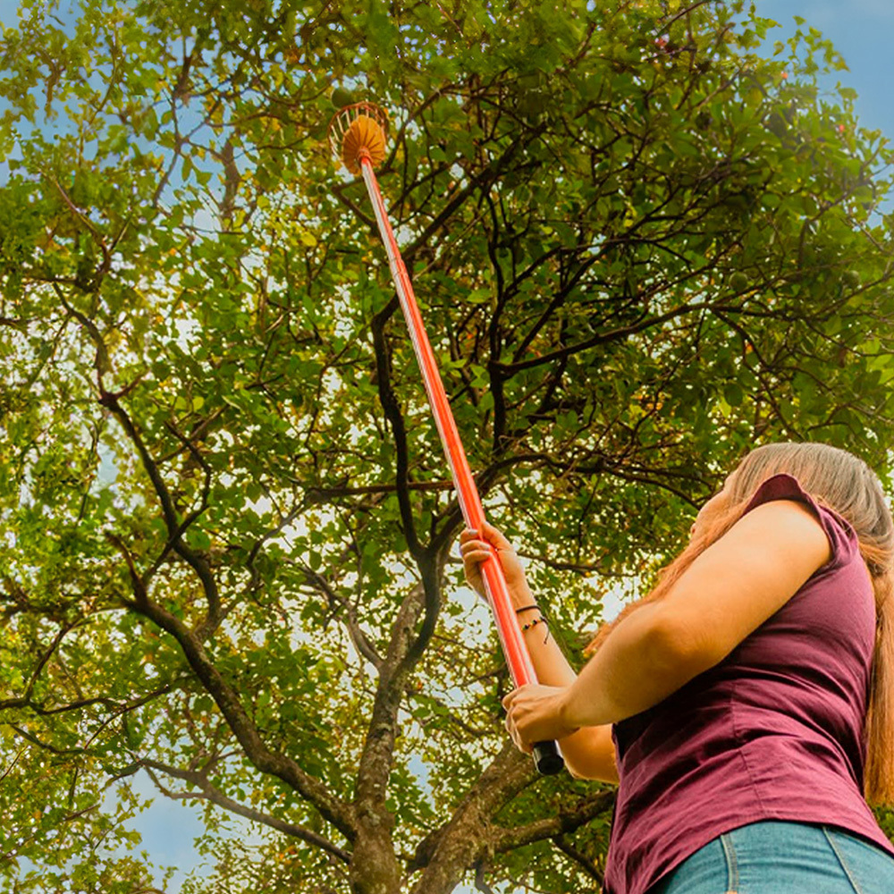 MANGO TELESCOPICO PARA CORTA FRUTA Y RAMAS