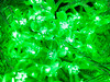 LED Fairy Lights 10mtr L/Volt