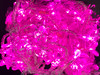 LED Fairy Lights 10mtr L/Volt