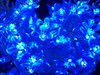 LED Fairy Lights 10mtr L/Volt