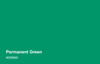 QD601 SUPER ENAMEL - Permanent Green 4 Litre Can *FREE SHIPPING*