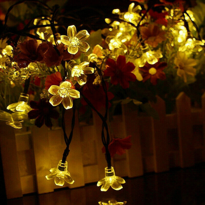 LED Fairy Lights 10mtr L/Volt