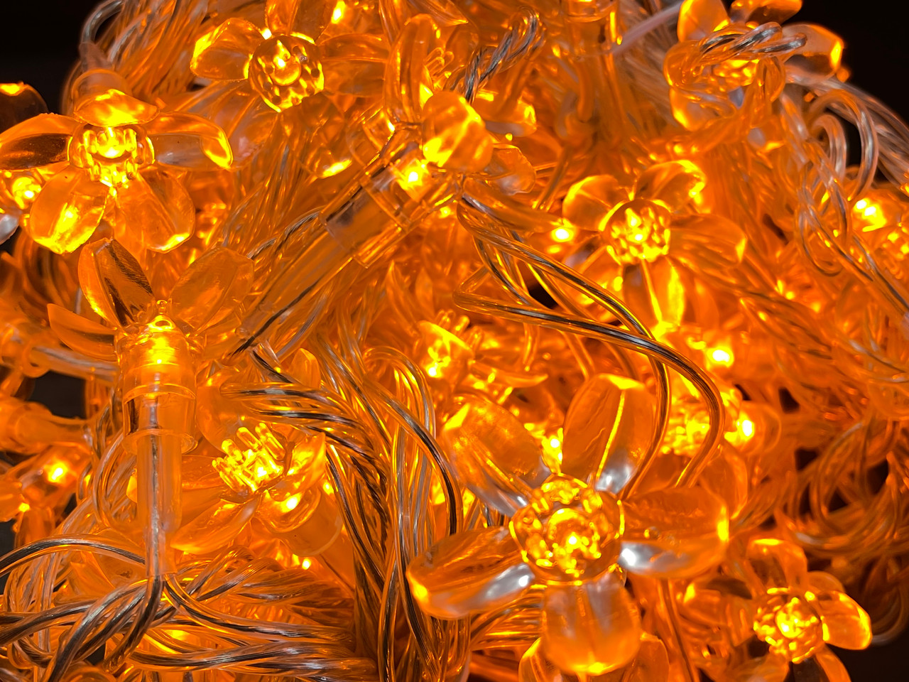 LED Fairy Lights 10mtr L/Volt