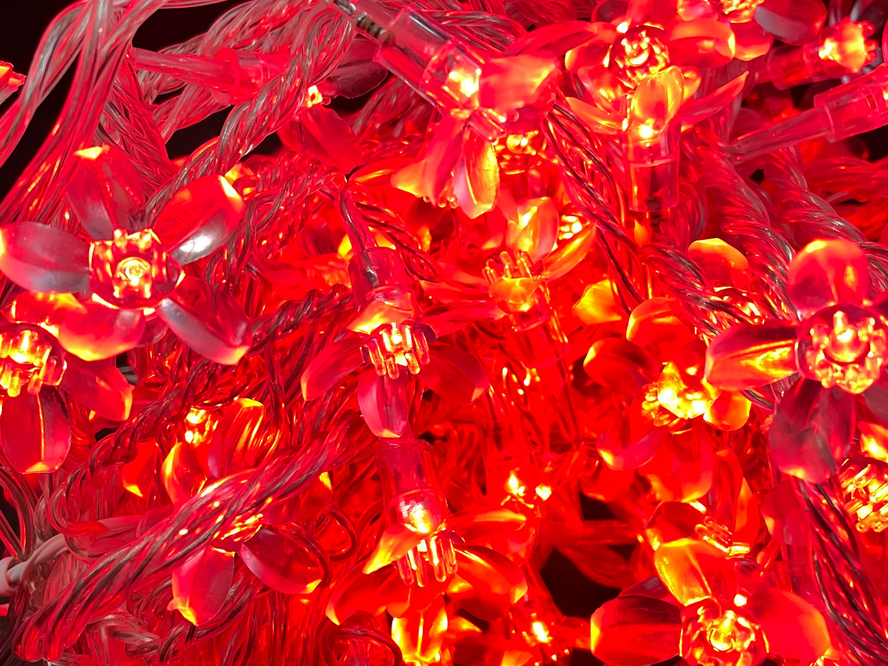 LED Fairy Lights 10mtr L/Volt