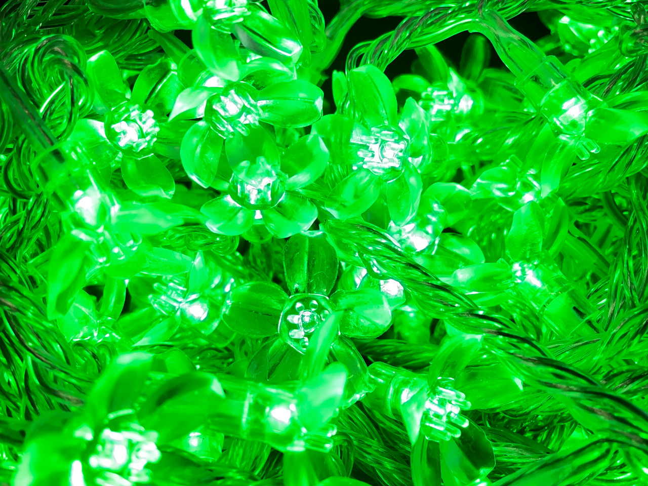 LED Fairy Lights 10mtr L/Volt