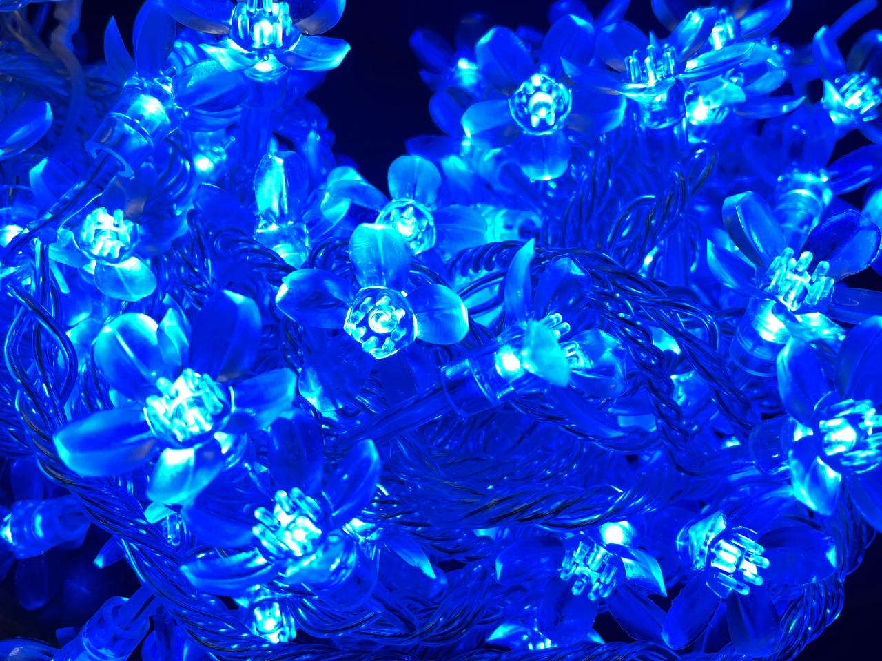 LED Fairy Lights 10mtr L/Volt