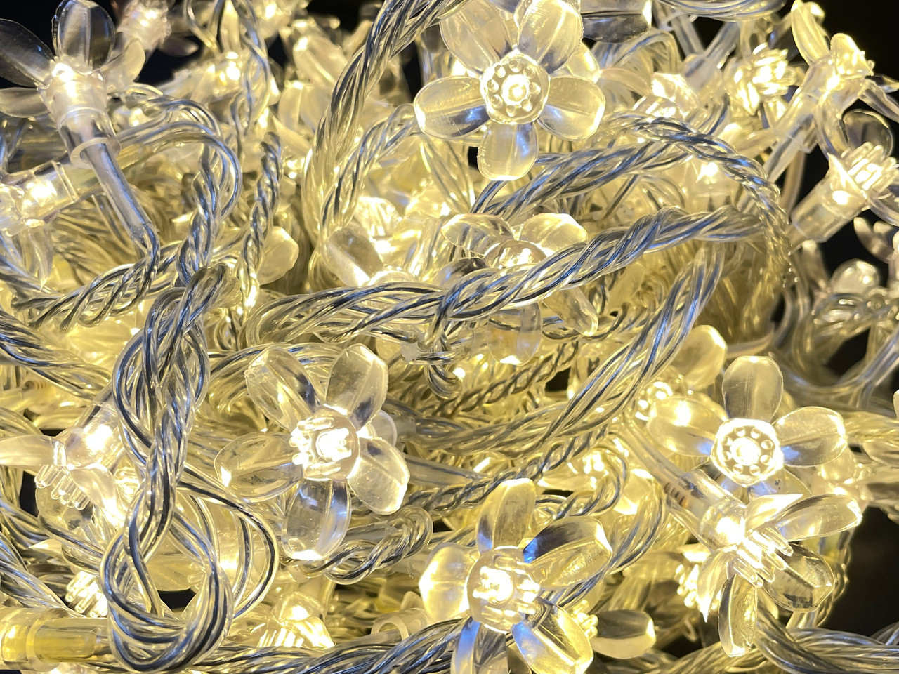 LED Fairy Lights 10mtr L/Volt