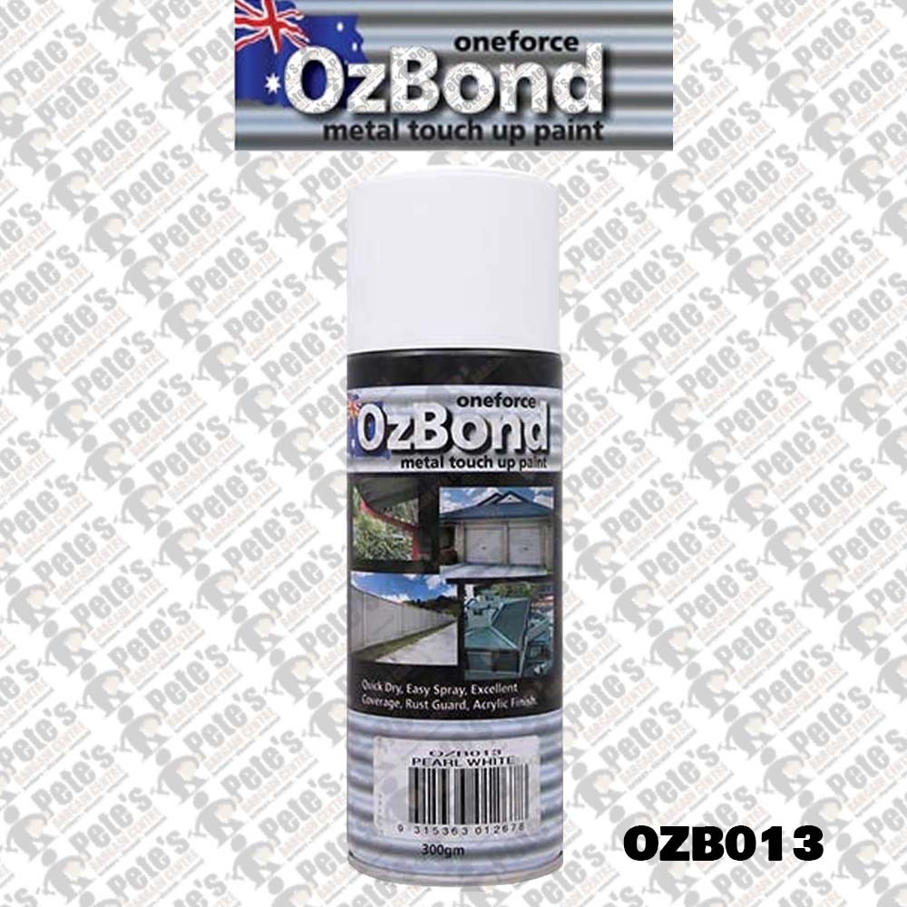 OZB013