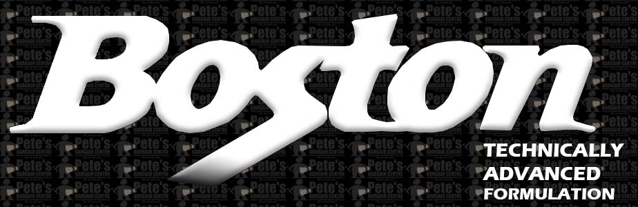 boston-logo-copy.jpg