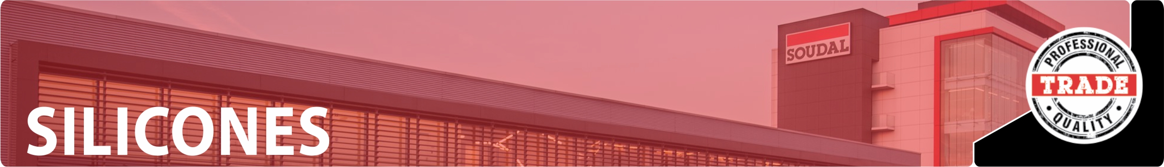 website-header-silicones.jpg
