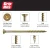 #8 x 2 in. Star Drive Dual Flat Head Coarse Thread Construction Screws 10 lb. Box